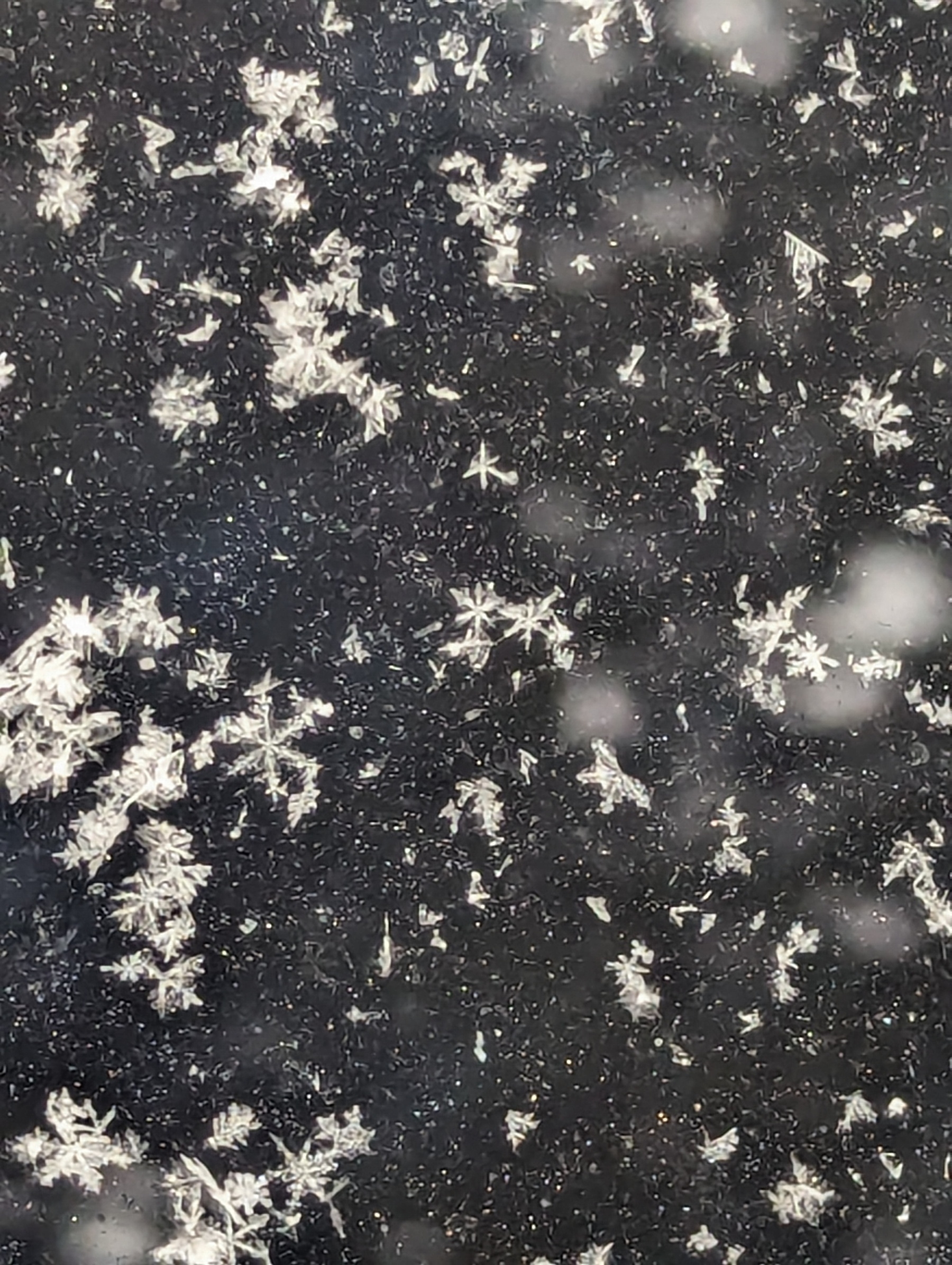 Snowflakes on the car window