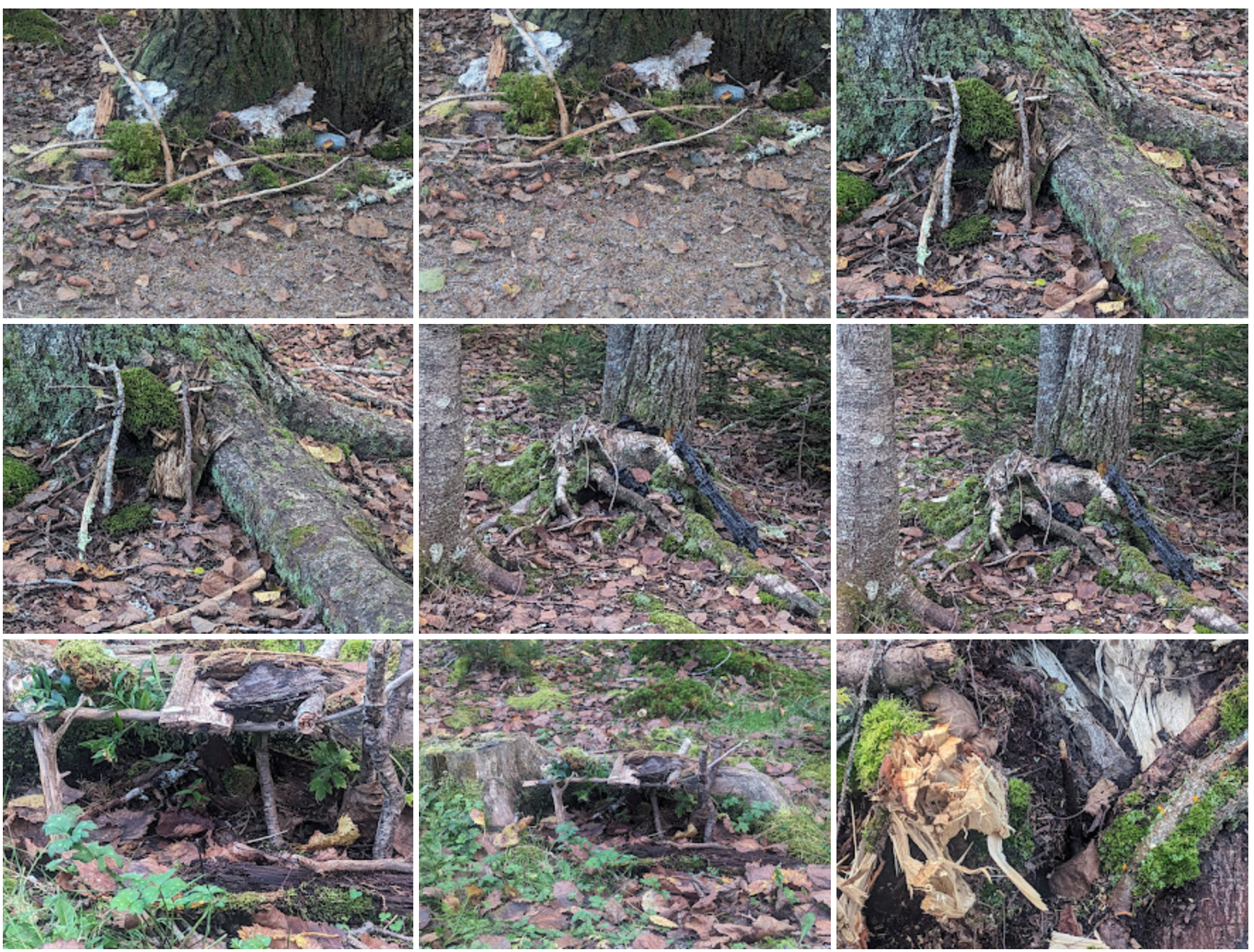 A few of the local fairy houses